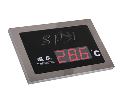 大显示屏（墙挂）