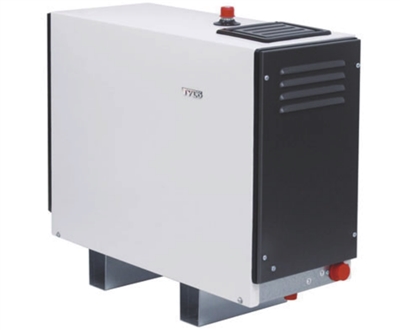 瑞典帝梦蒸汽机